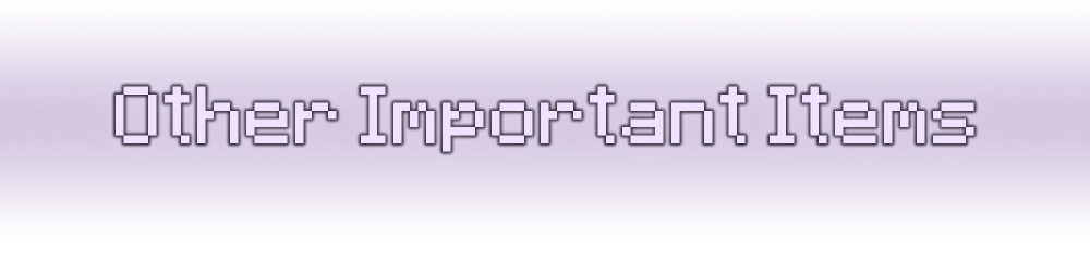 A header that reads: "Other Important Items"