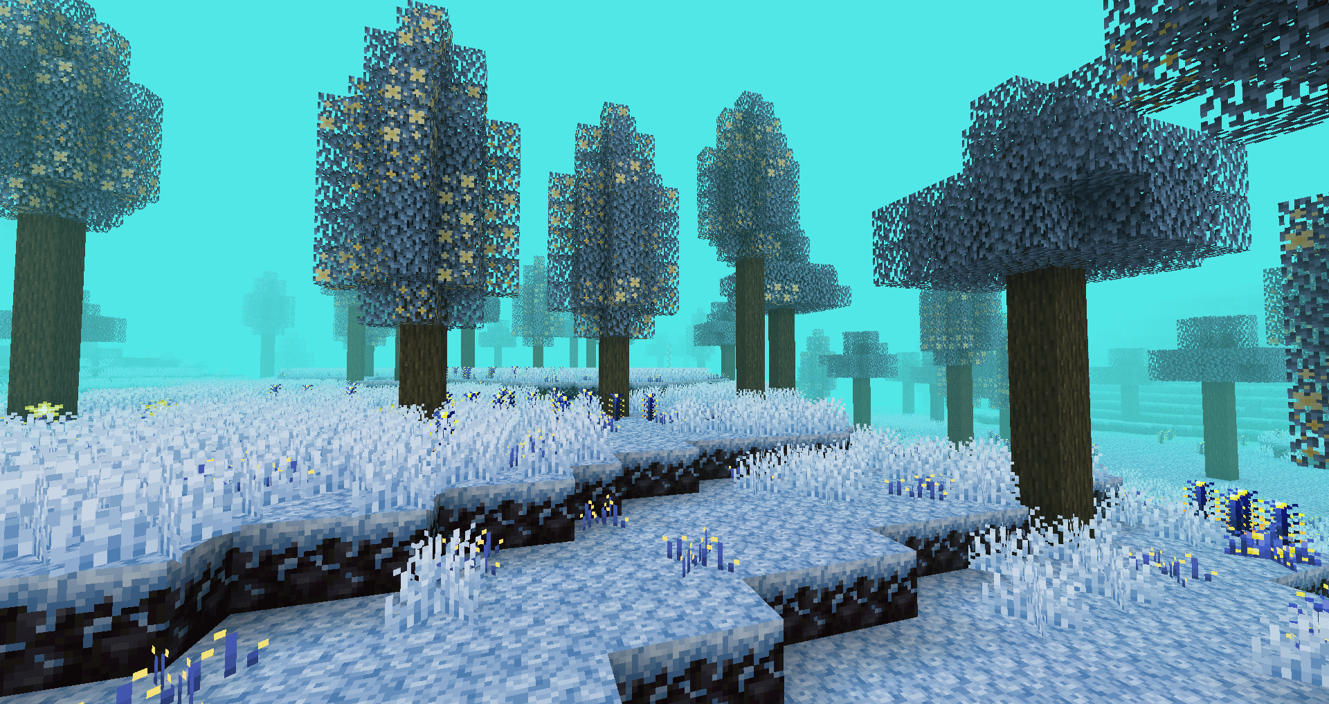 the indigo lumens biome