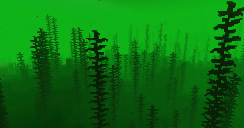 kelp forest
