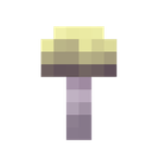 zenith shroom