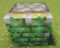 Strong Piston