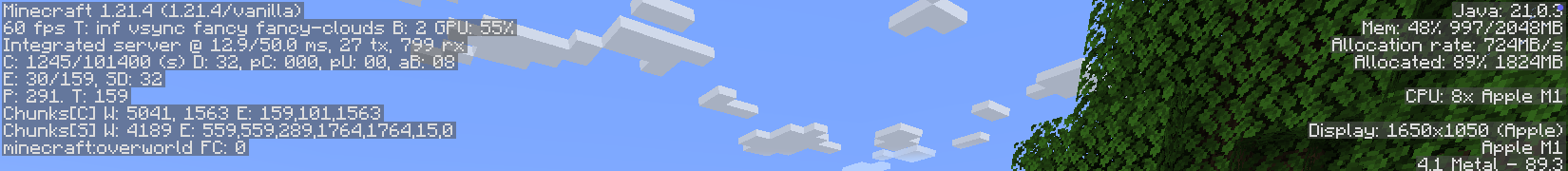Vanilla Minecraft FPS