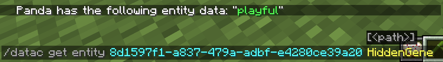The command being used with the path argument