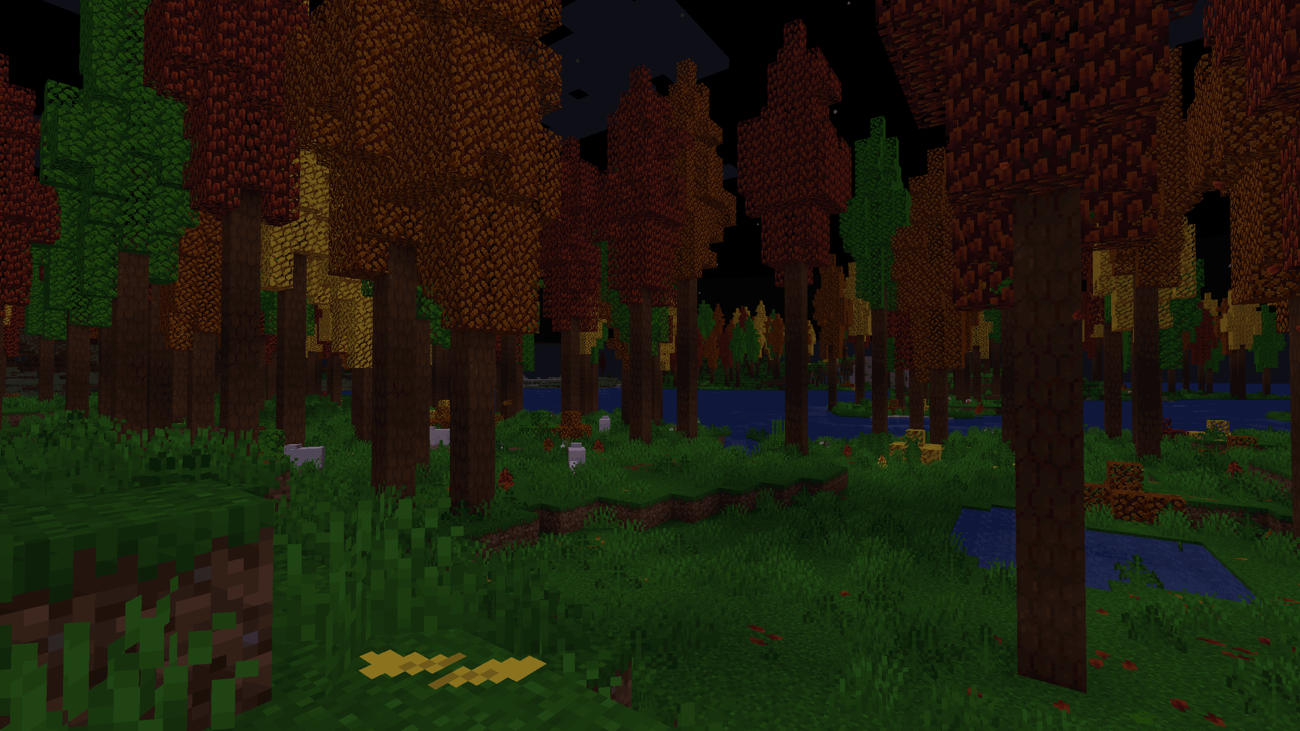 glowing hickory forest