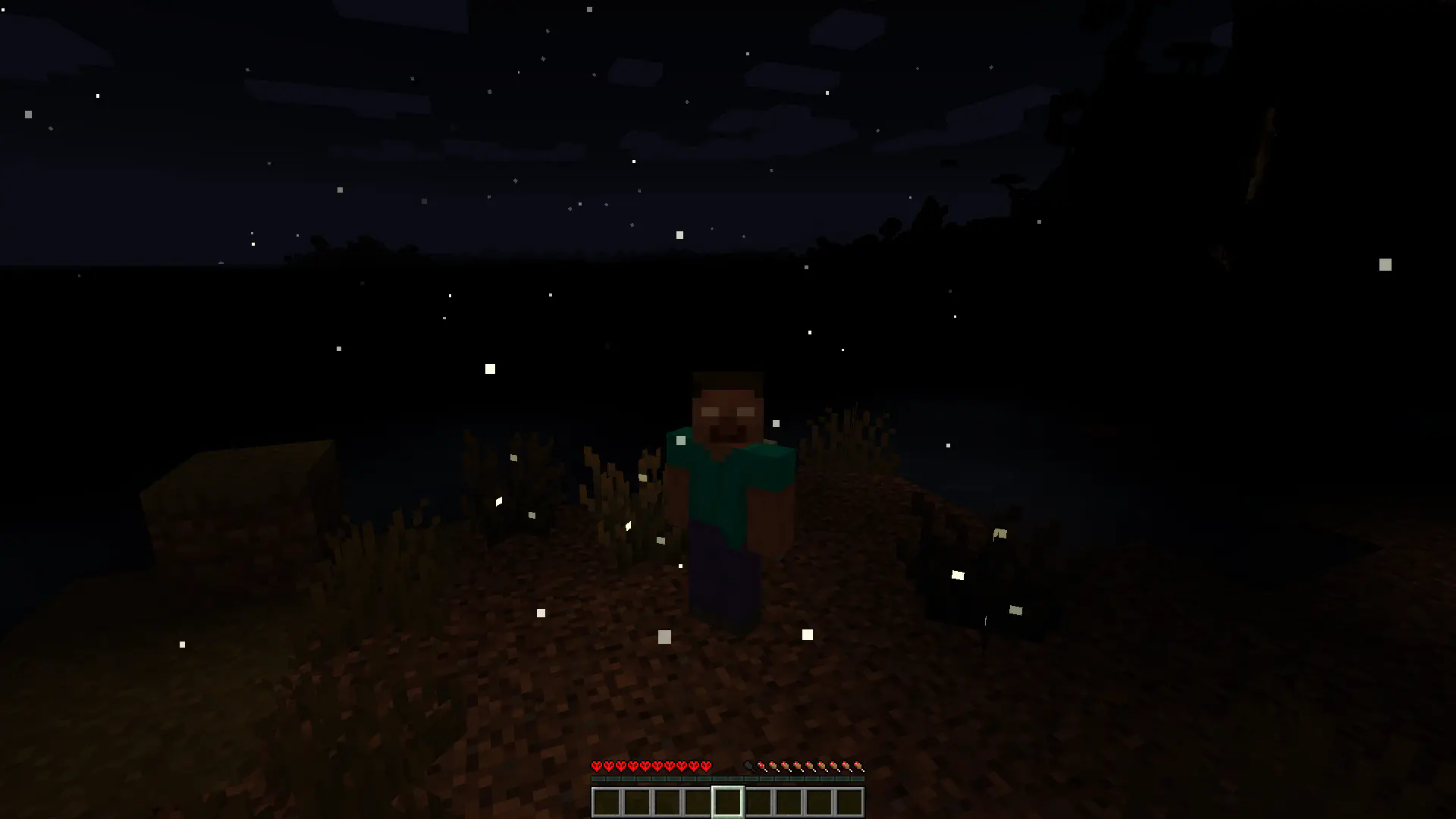 Fireflies!