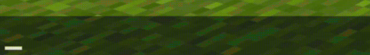 Drop [Default] with green color
