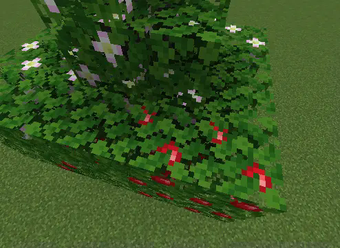 Top Texture
