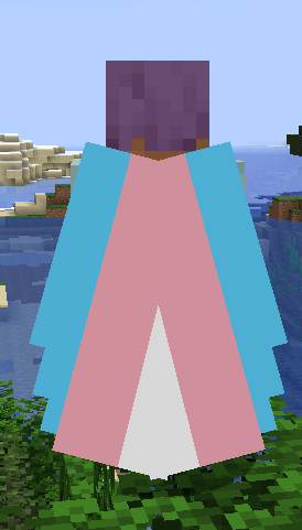 Trans Elytra