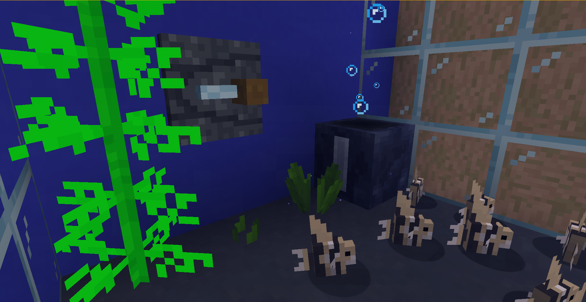 An aquarium complete with a nitrogen detector and a filter bloc