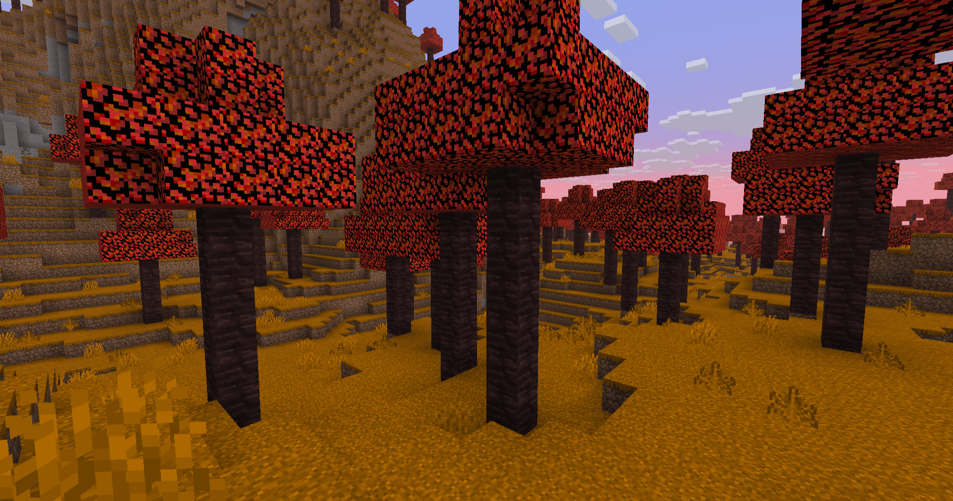 The Dappled Forest Biome