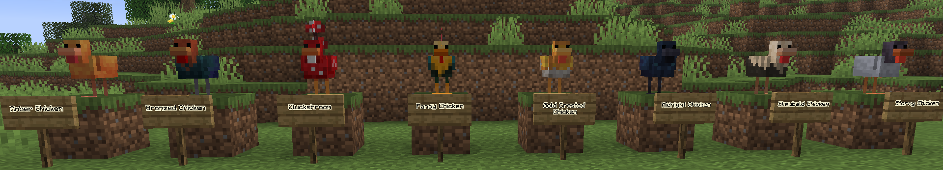 Chickens