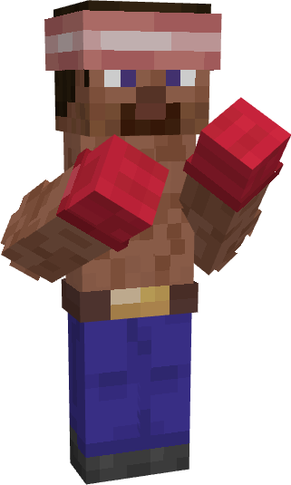 Boxer Steve