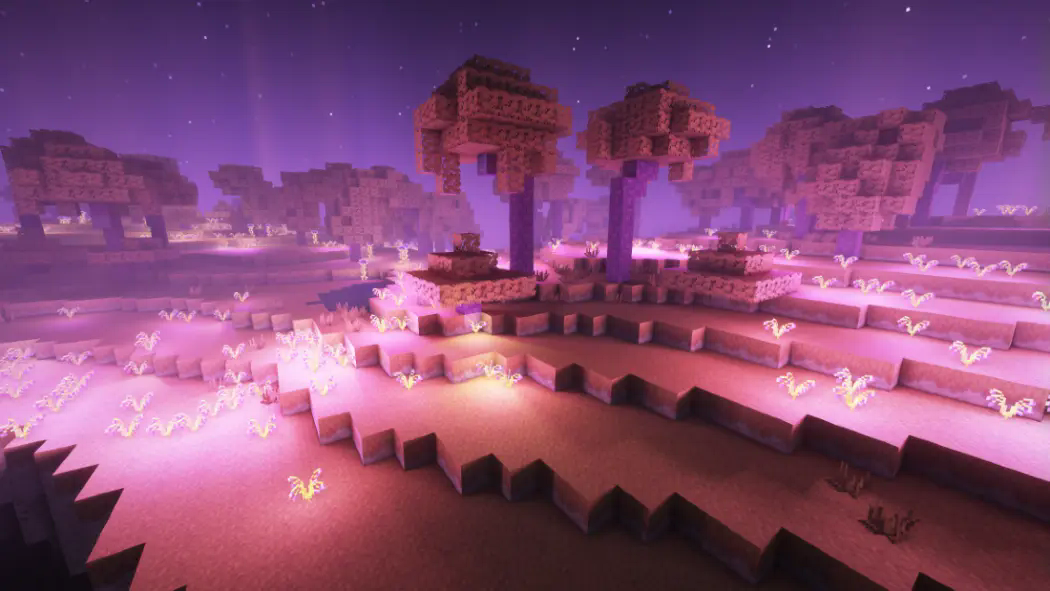 End Wilds with the Rethinking Voxels Shader Pack