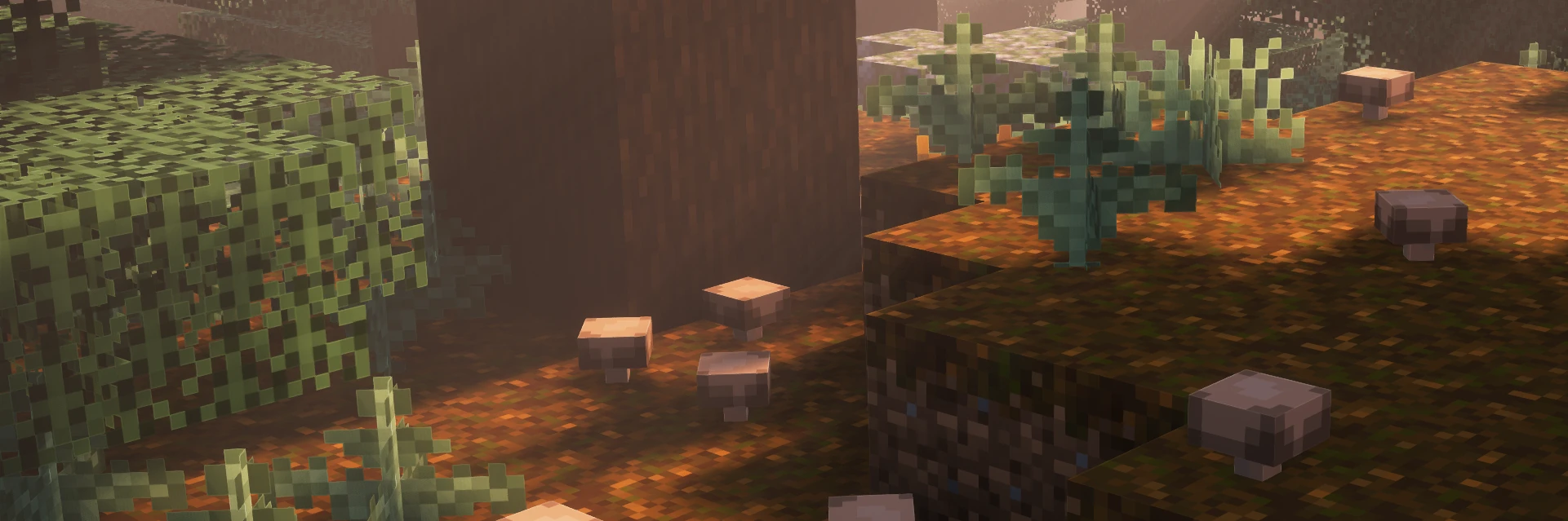 A screenshot of the game Minecraft. Taken within the Overworld dimension, in the Old Growth Pine Taiga biome. The camera is focused at the ground, and the brown mushrooms dotting the podzol among ferns.