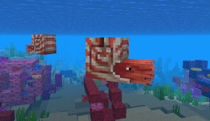 Nautilus