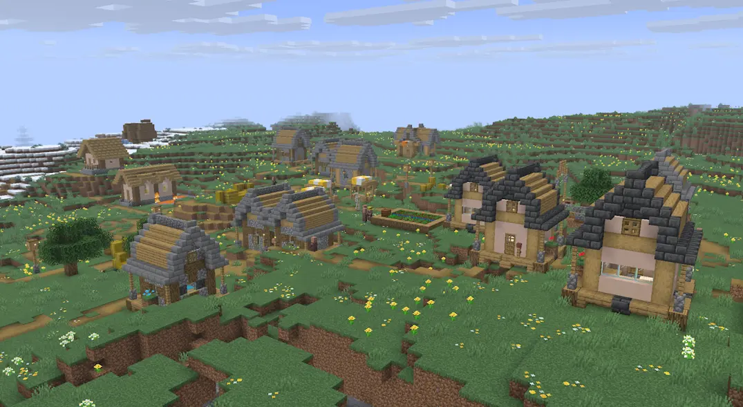 Village
