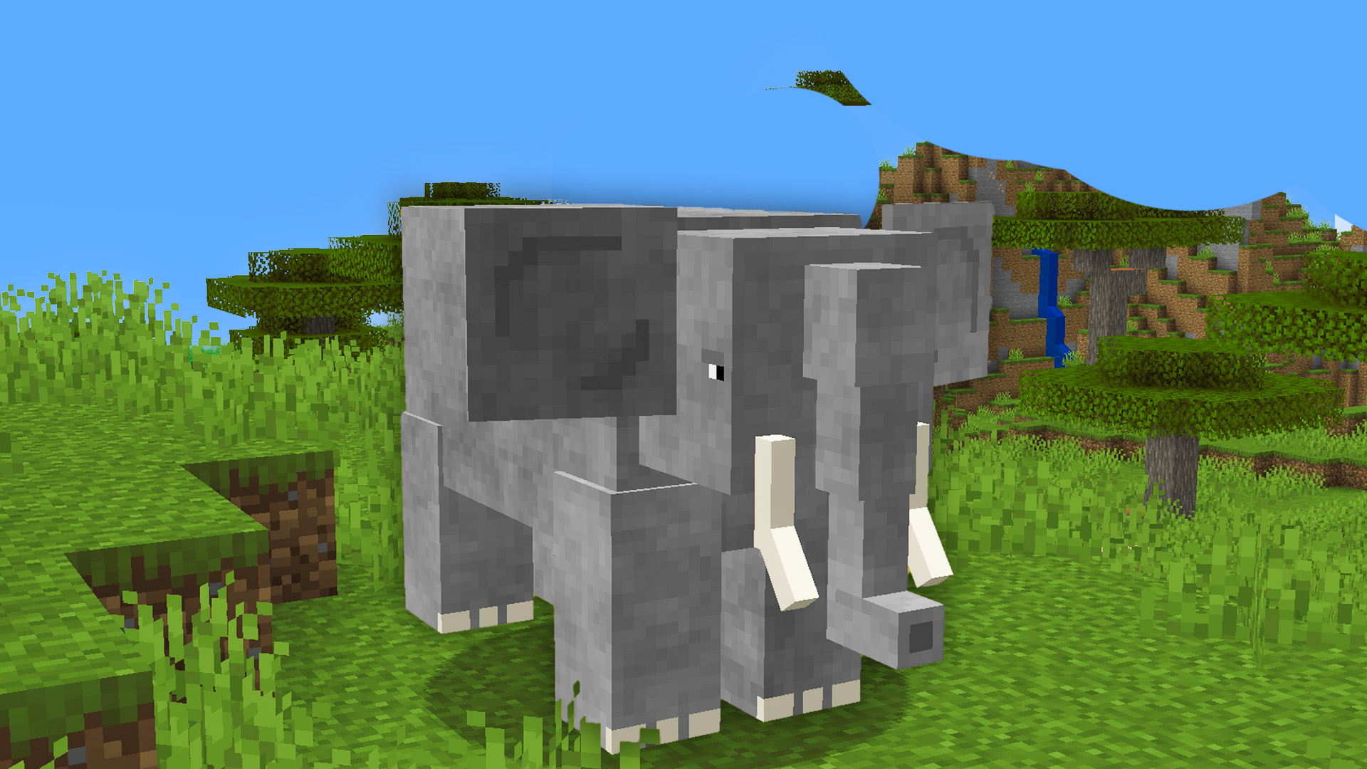 An elephant