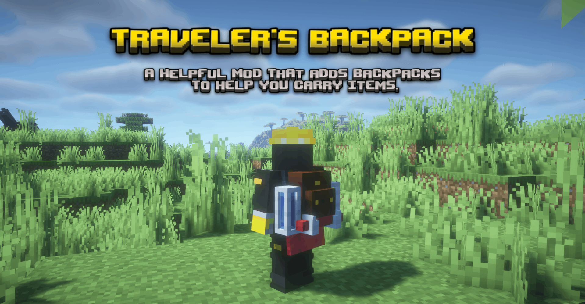 TRAVELER'S BACKPACK