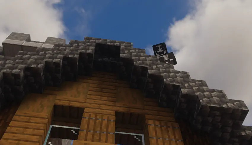 He likes rooftops. Don’t ask why.