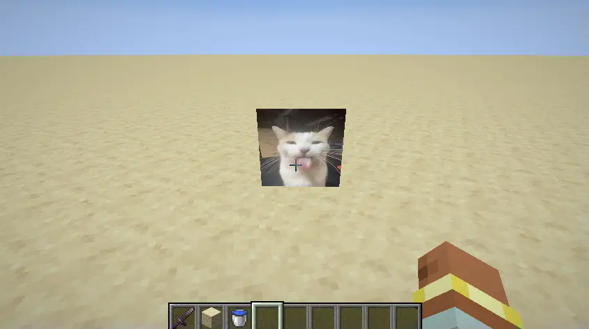 A cat with its tongue out, its a flat image of the cat inside Minecraft