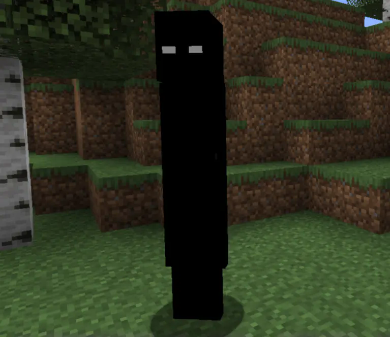 The entity itself