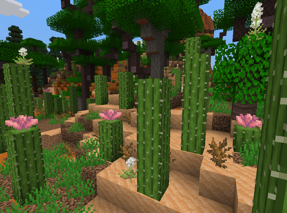 Cactus Flowers in Spiny Thicket (Atmospheric)