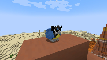 Rookidee_sunglasses