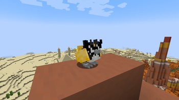 Rookidee_sunglasses_shiny