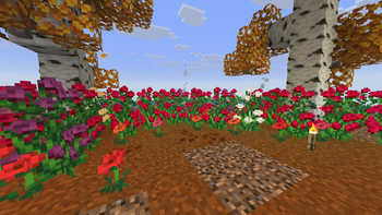 Roses and Poppy Color Variants