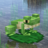 Biome Vote Swamp