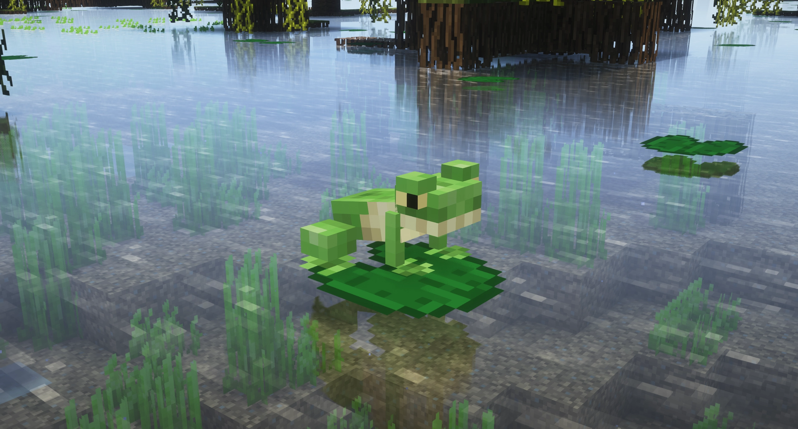 New Frog