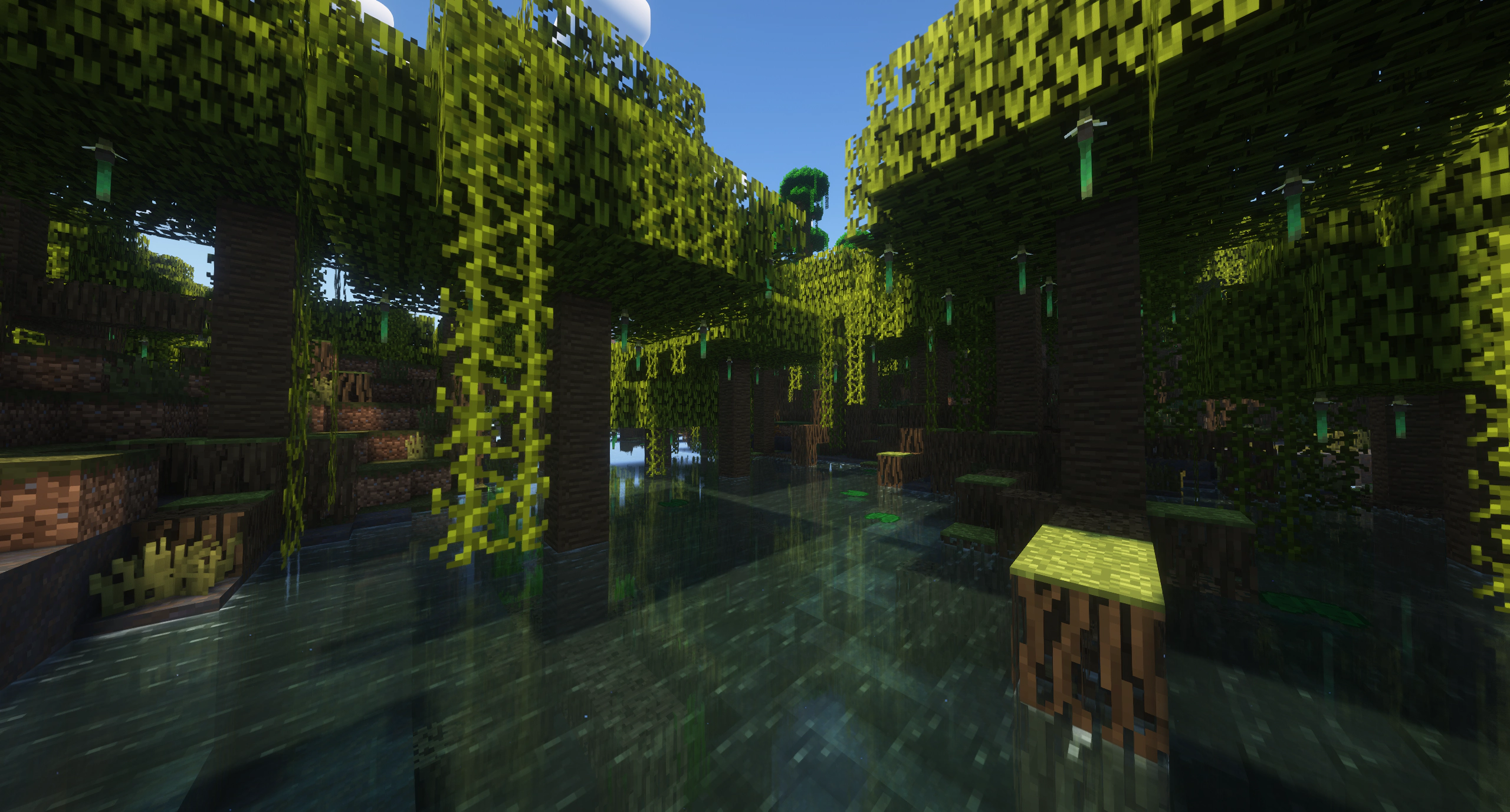 Mangrove Swamp Biome