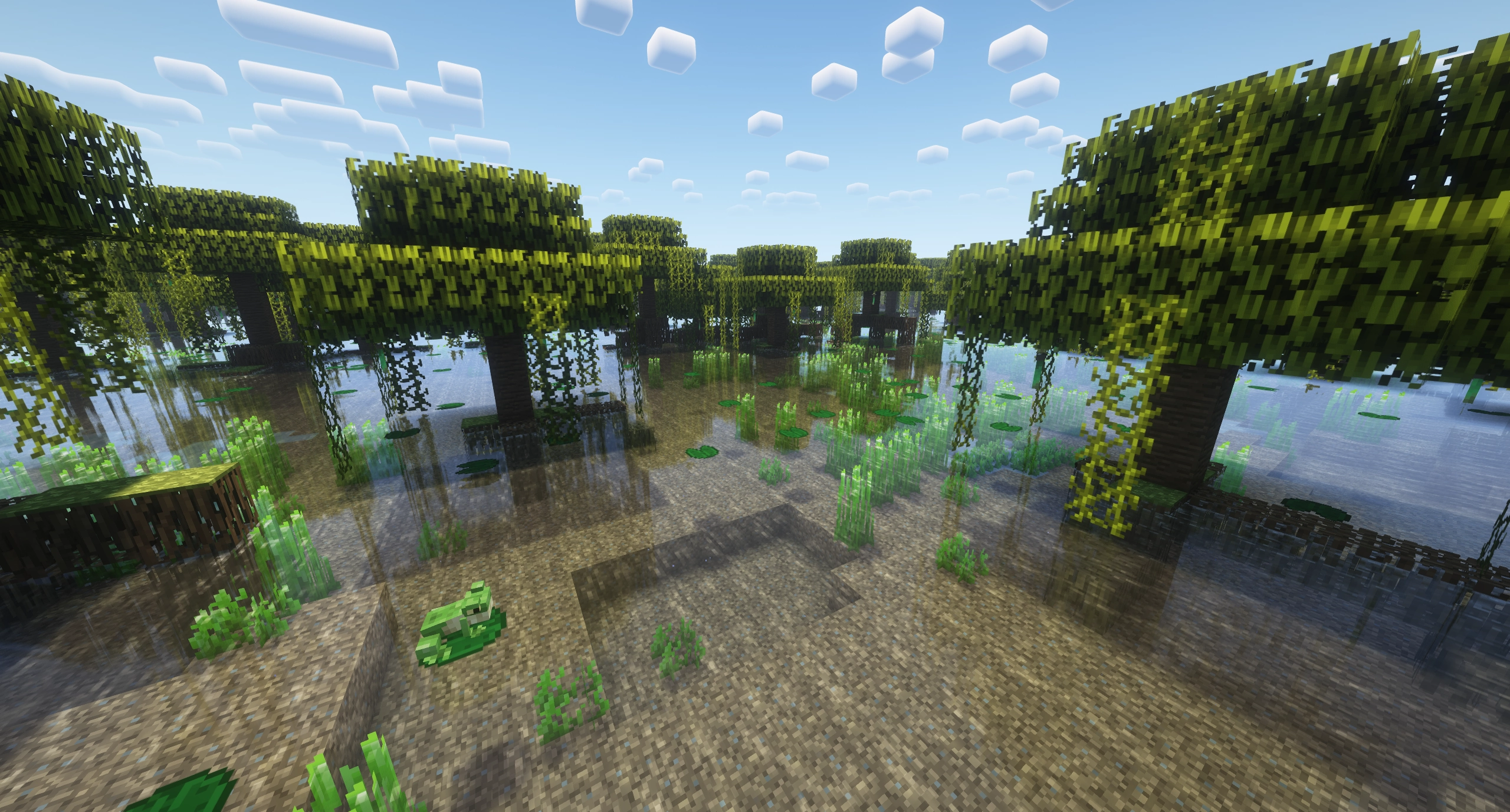 Swamp Biome