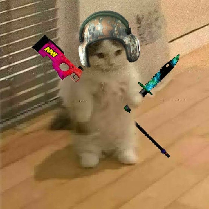 Kat's Pure FPS