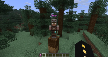 Villager Shop