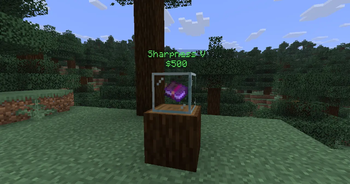 Admin Shop