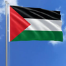 Modrinth profile picture for @Palestine