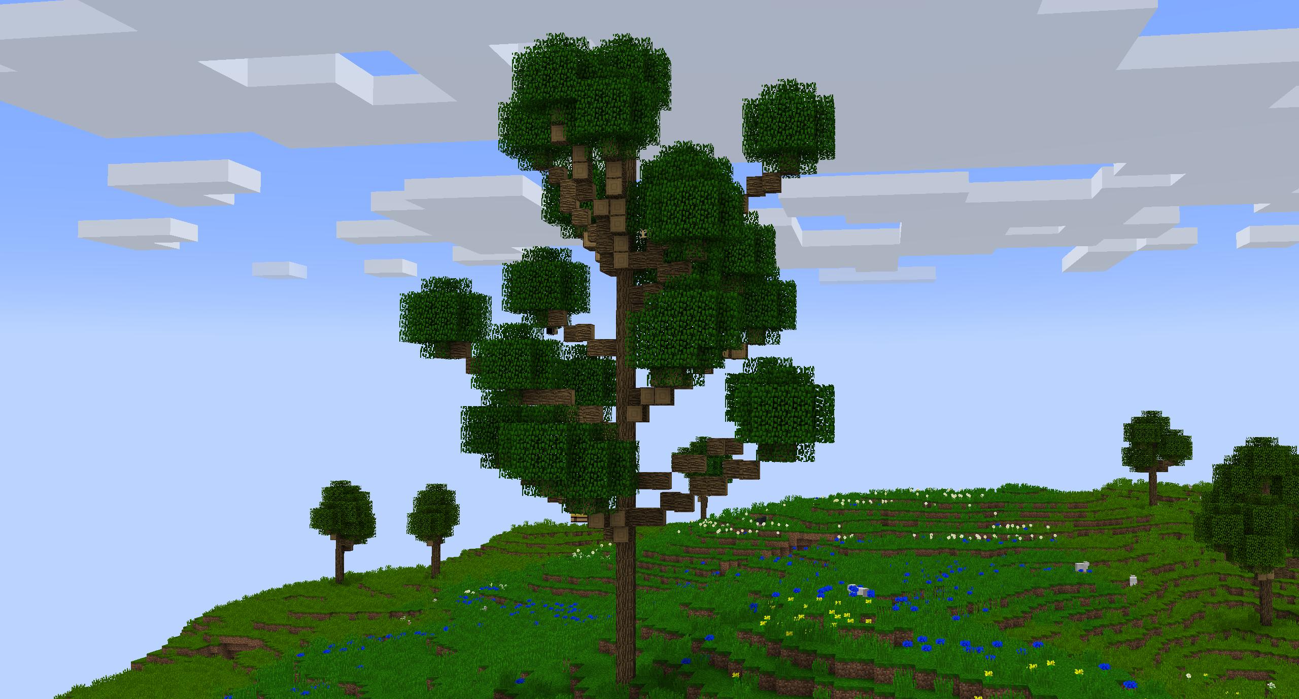 Medow Tree