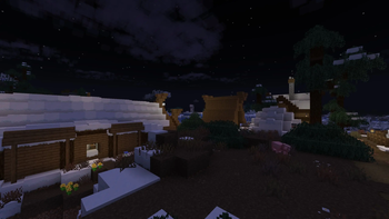Village4
