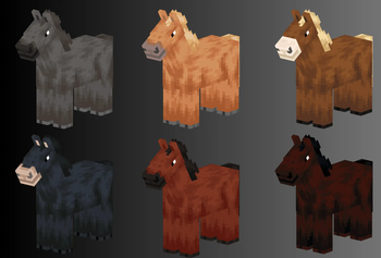 New Horses