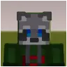 RacoondudeMC