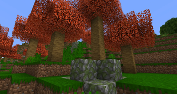 Maple Forest