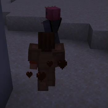 Fight with Maul
