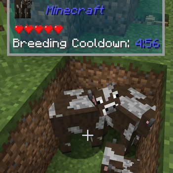 Breeding Cooldown