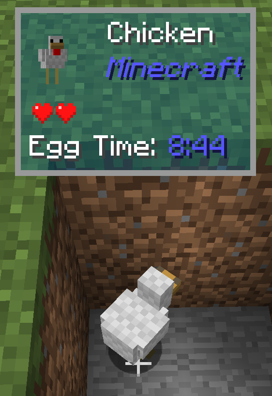 Egg Laying Time