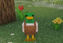 Little chicky :UPDATED: