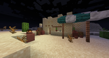 Desert House