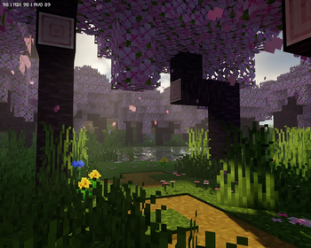 Shaders showcase
