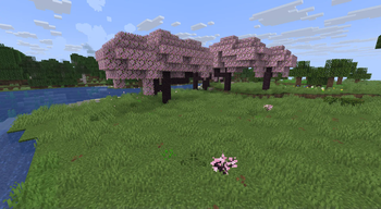 Growing Forests