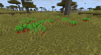Wild Crops